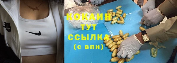 амф Дмитриев
