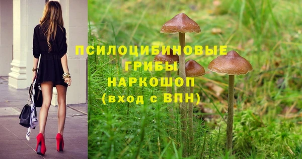 МДМА Рославль