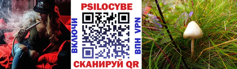 MEGA как войти  что такое наркотик  дарк нет наркотические препараты  Псилоцибиновые грибы MAGIC MUSHROOMS  Нижнеудинск 